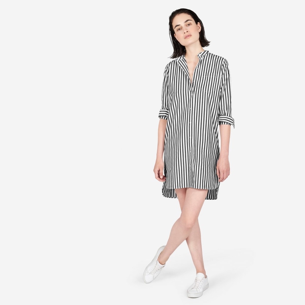 Everlane Black and White Striped Shirt Dress